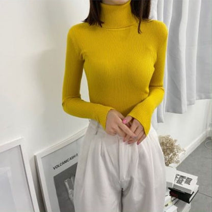 Jasmine Turtleneck Sweater